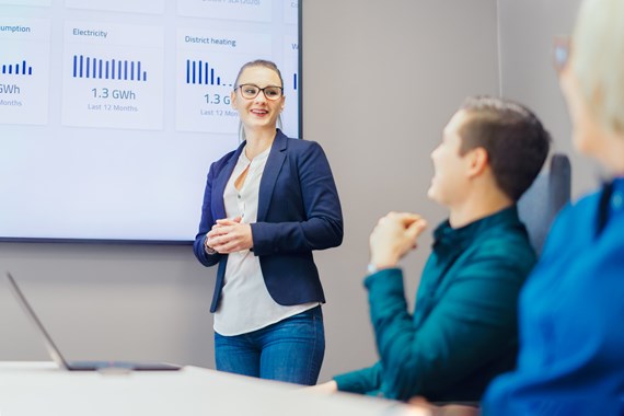 smartview kundeportal.jpg